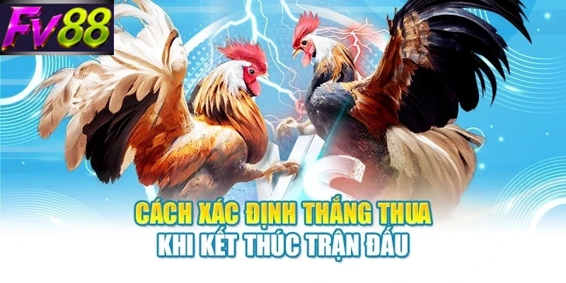 cach xac dinh thang thua khi ket thuc tran dau Cách xác định thắng thua khi kết thúc trận đấu