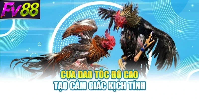 cua dao toc do cao tao cam giac kich tinh Cựa dao tốc độ cao tạo cảm giác kịch tính